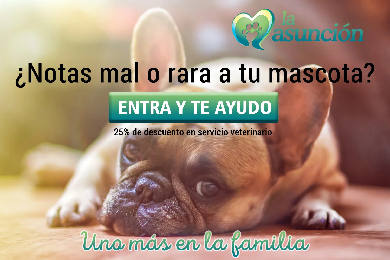 Clínica Veterinaria La Asunción